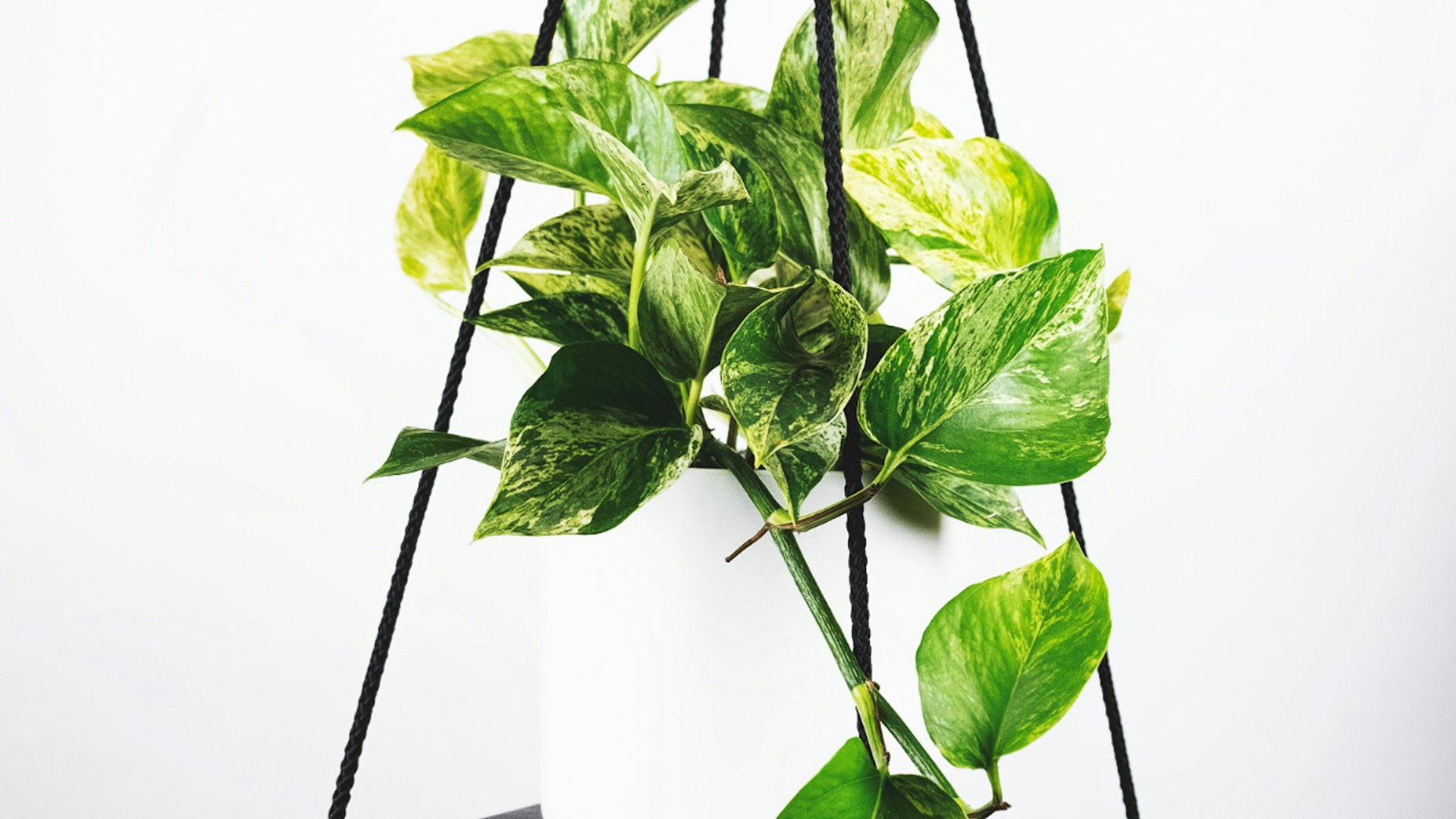 2026世界杯主赛场绿茵草地和看台全景